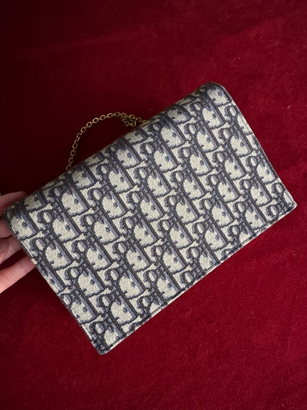 Medium Saddle Pouch with Chain
Blue Dior Oblique Jacquard - Picture 3 of 14
